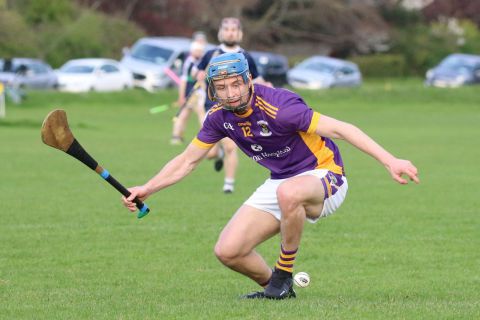 Adult Hurling League Division Three vs Bray Emmets