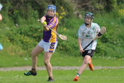 U14 Hurling D Phase One Gp.A vs Lucan Sarsfields B