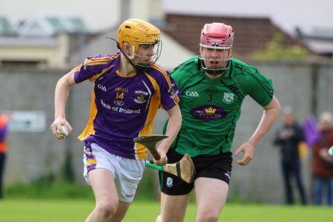 U15 Hurling Feile Div.8 vs Lucan Sarsfields