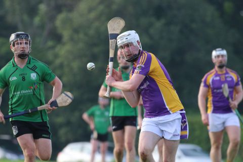 Adult Hurling League Division Four vs Lucan Sarsfileds