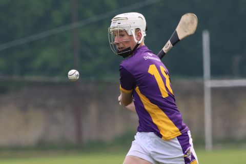 Minor Hurling League Division One vs St Vincents