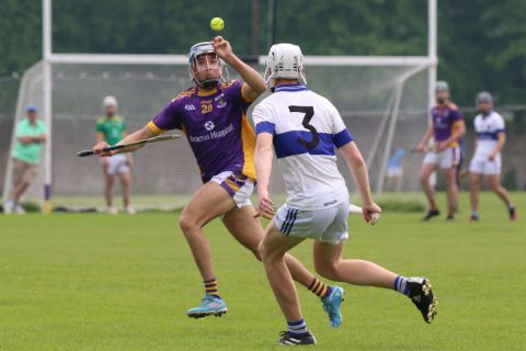 Minor Hurling League Division One vs St Vincents