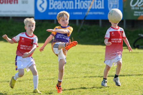Week 1 of the Mini All Irelands 2023 
