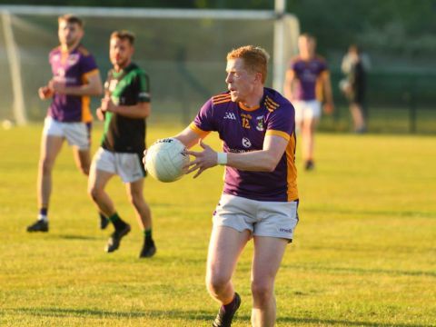 Go Ahead Adult Football League Division Two Kilmacud Crokes Versus Parnells 