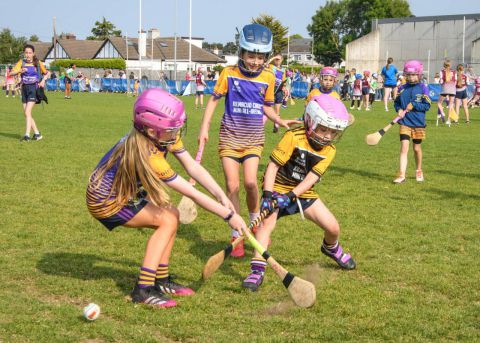 Week 2 of the Mini All Irelands - Camogie 