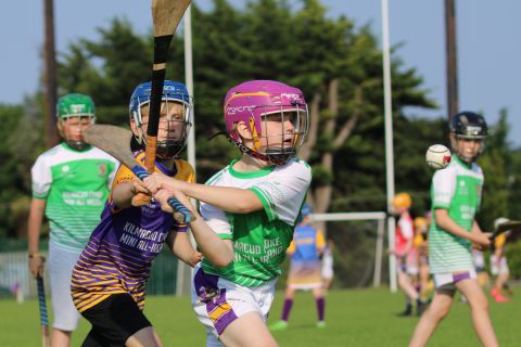 Photographs of Week 3 of the Mini All Irelands - Hurling