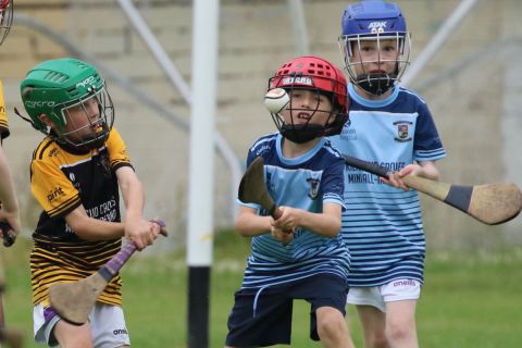 Photographs of Week 3 of the Mini All Irelands - Hurling
