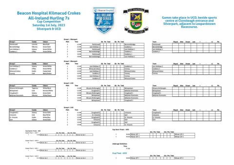 Beacon Hospital All-Ireland Hurling 7s Draw