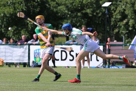 Gort GAA Club Win Beacon Hospital All Ireland Hurling 7s 2023