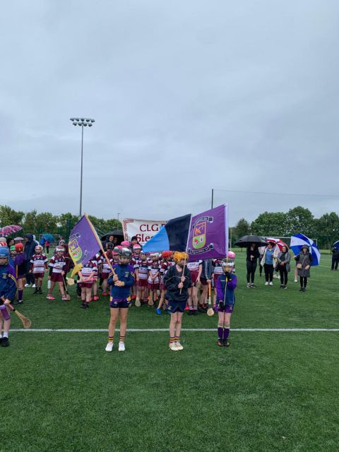 Kilmacud Crokes - Under 10 Festival of Camogie 