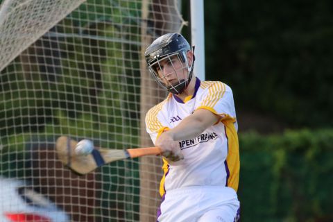  Junior E Hurling Championship vs Castleknock