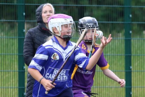 U12 Camogie Festival of Hurling 