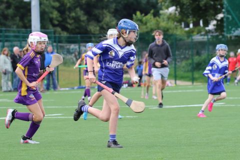 U12 Camogie Festival of Hurling 