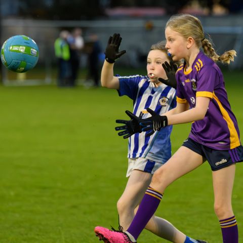 Half Time Under 9 game during Snr Ladies Championship Game - Kilmacud Crokes V Ballyboden
