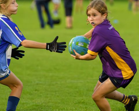 Half Time Under 9 game during Snr Ladies Championship Game - Kilmacud Crokes V Ballyboden