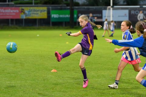 Half Time Under 9 game during Snr Ladies Championship Game - Kilmacud Crokes V Ballyboden