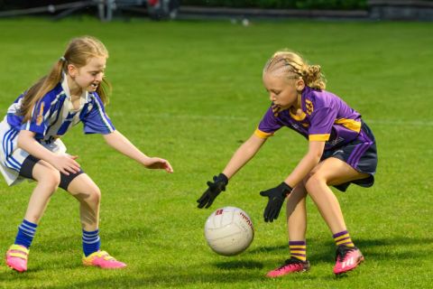 Half Time Under 9 game during Snr Ladies Championship Game - Kilmacud Crokes V Ballyboden