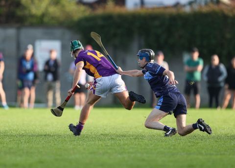 Crokes On Move