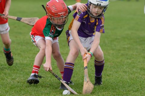 Tackle