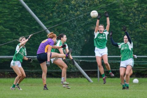 Leinster Semi Final Action Shot