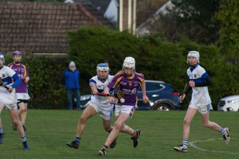 Kilmacud Crokes U16 B Hurlers Win The Championship