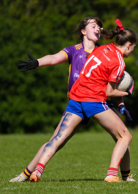 Feile