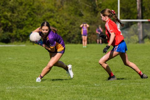Feile