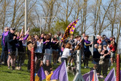 Feile