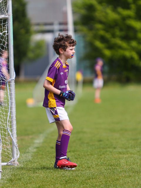 goalie