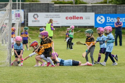 Camogie