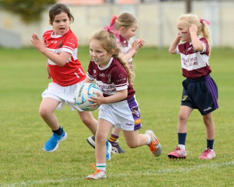 Mini All Ireland Ladies football