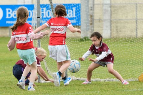 Mini All Ireland Ladies football