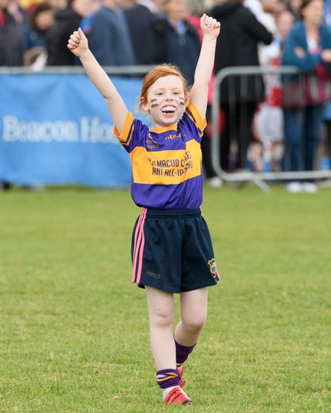 Mini All Ireland Ladies football