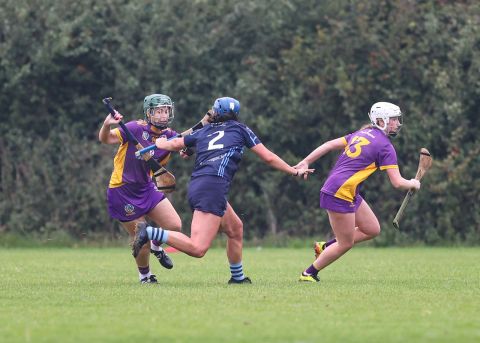Camogie