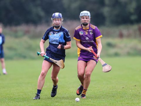 Camogie