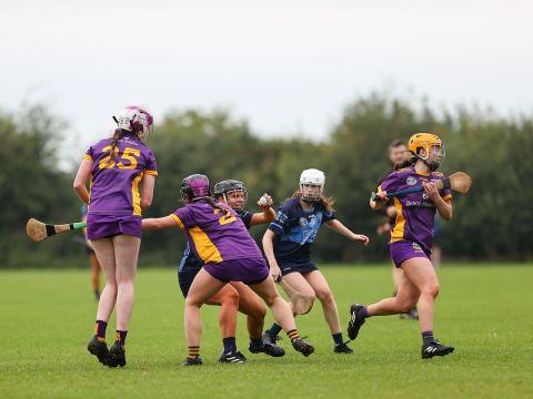 Camogie
