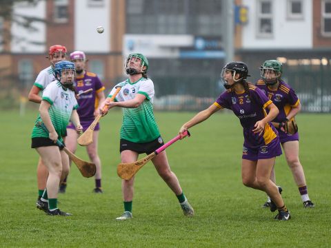 Camogie