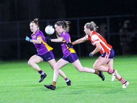 Senior ladies 2024 