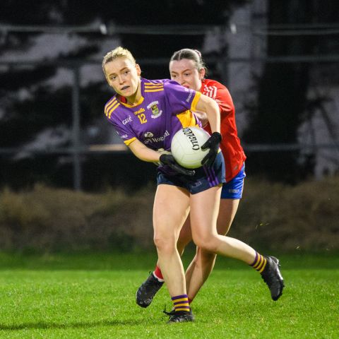 Ladies Senior team 2024