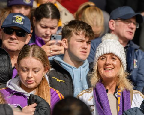 fans