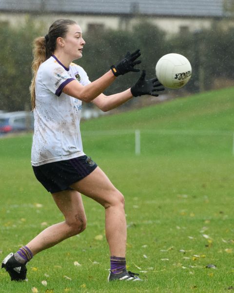 Ladies Leinster Semi Final 2024 