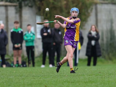 Camogie