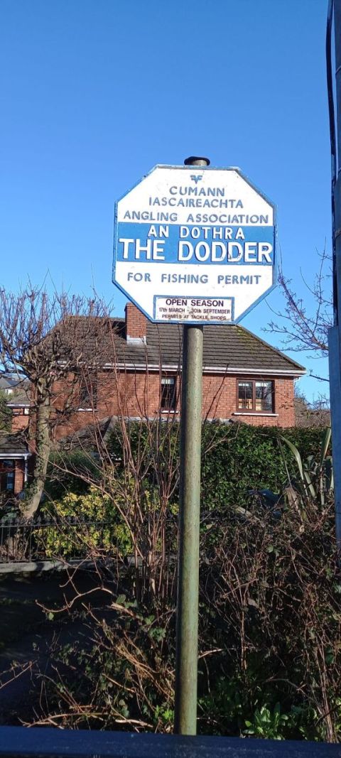 dodder