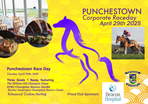 Punchestown 2025