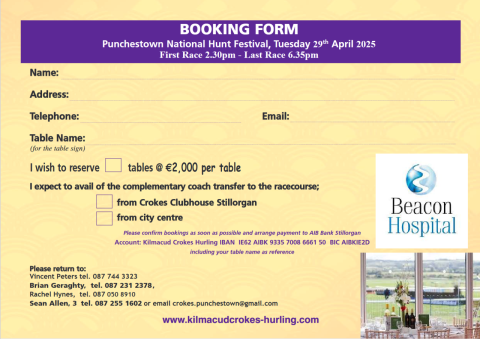 Punchestown 2025