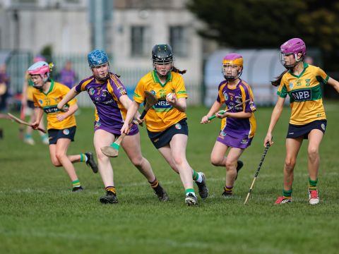 Camogie