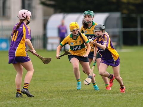 Camogie