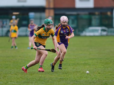 Camogie