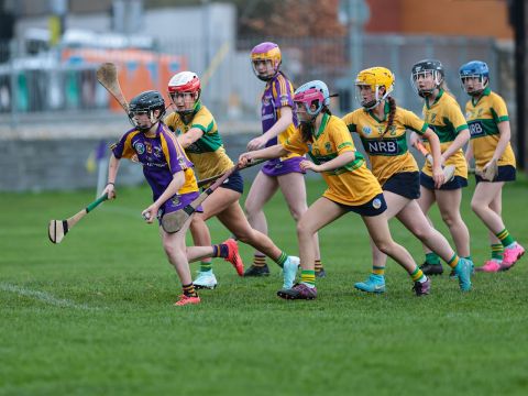 Camogie
