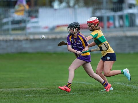 Camogie